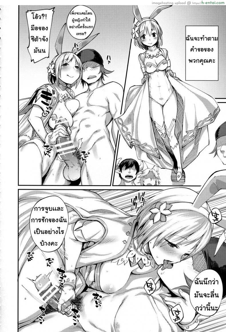 หน้าที่สำคัญ - แผ่น 5