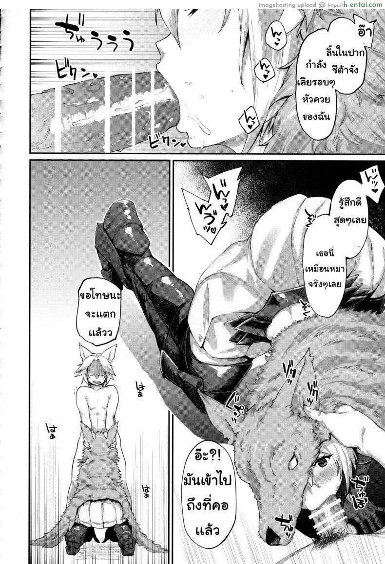 หน้าที่สำคัญ - แผ่น 9