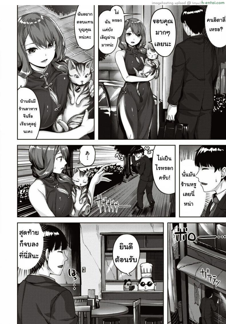 เจอแมวหลงทาง - แผ่น 2