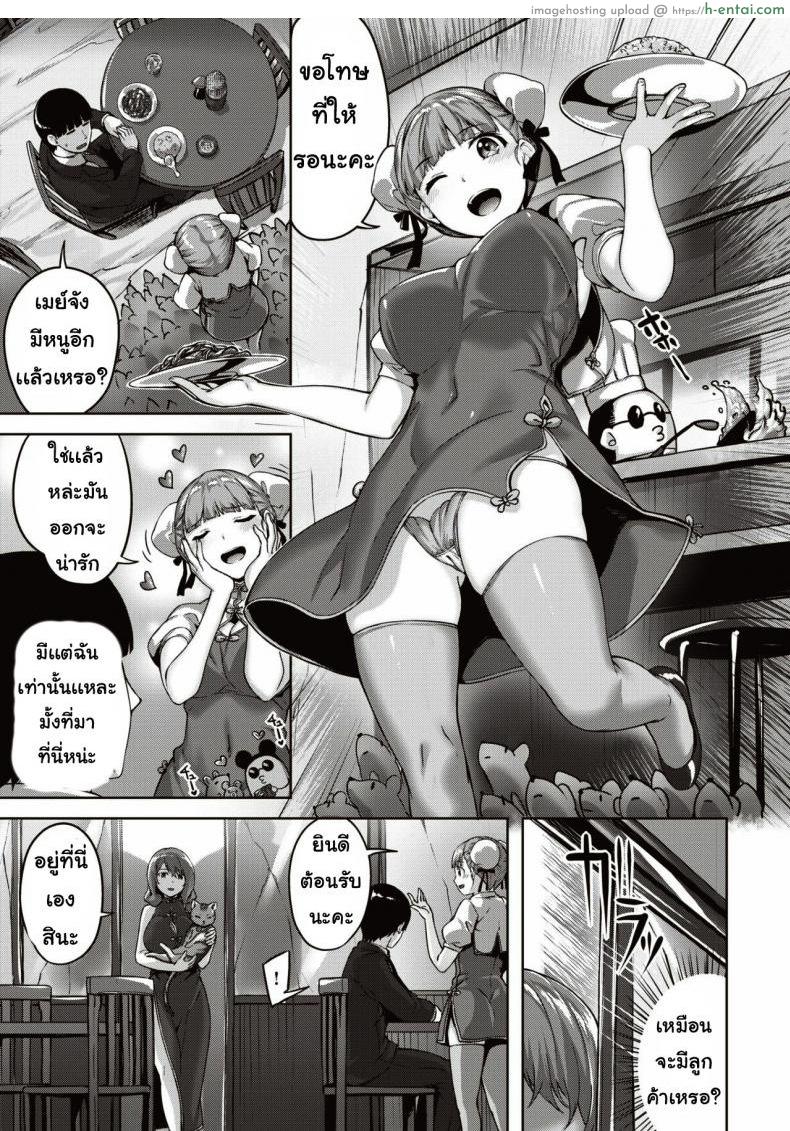 เจอแมวหลงทาง - แผ่น 3