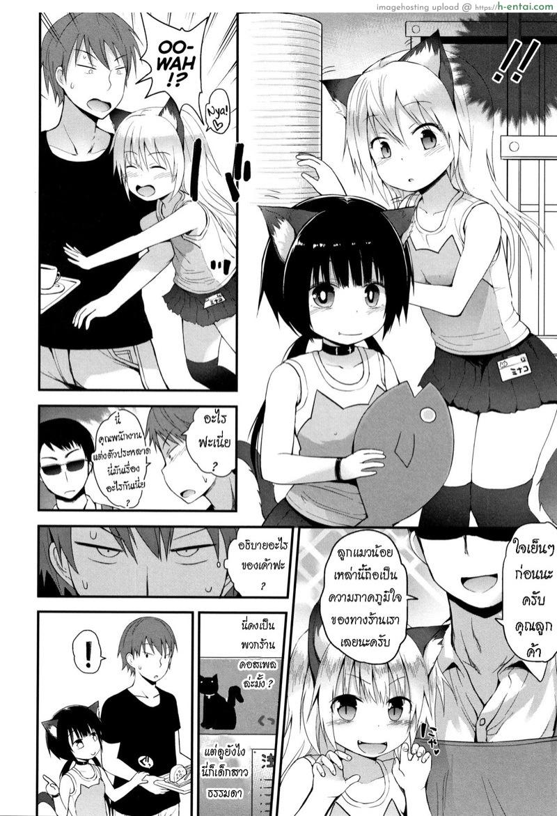 คาเฟ่แมว - แผ่น 2