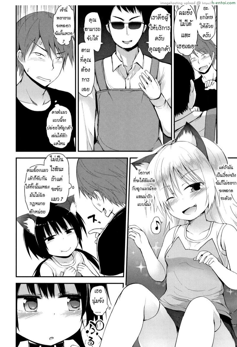 คาเฟ่แมว - แผ่น 4