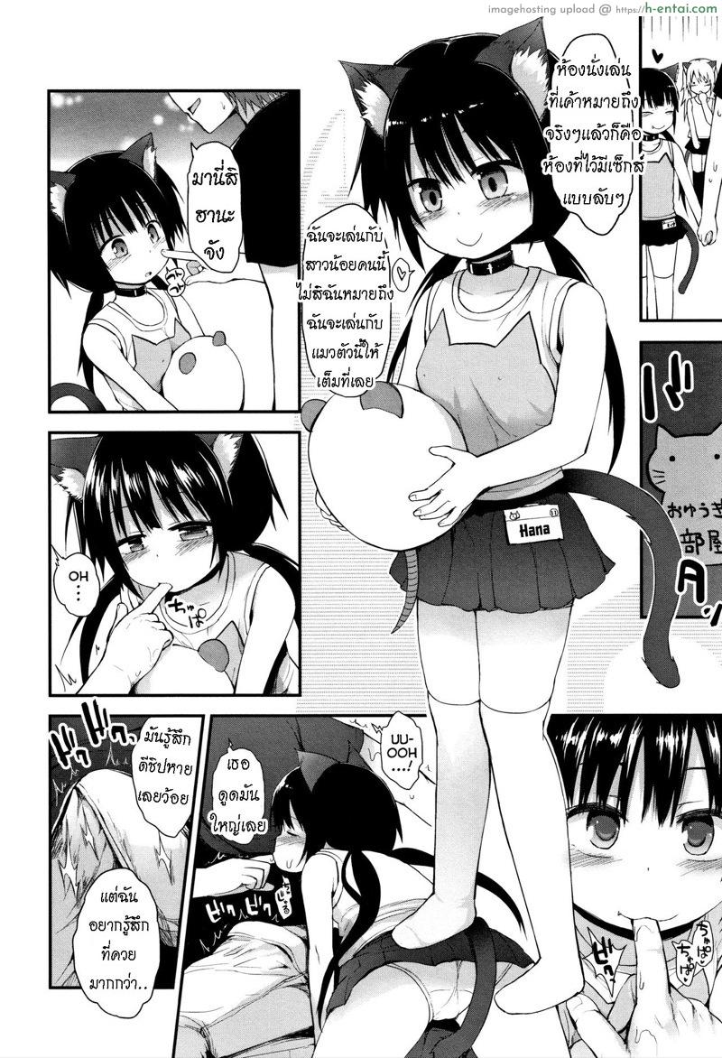 คาเฟ่แมว - แผ่น 6