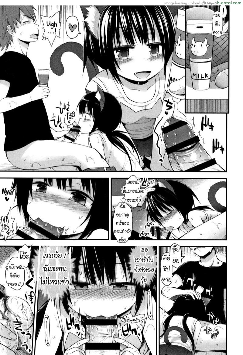 คาเฟ่แมว - แผ่น 7