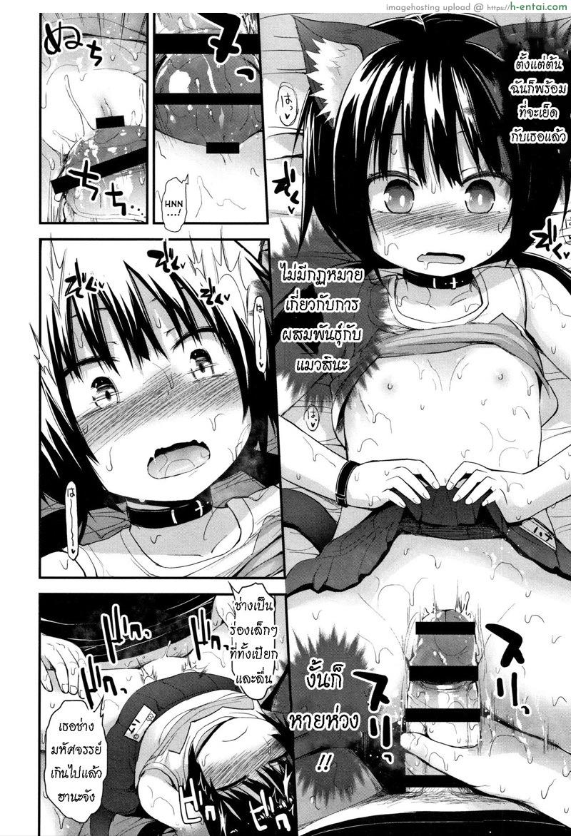 คาเฟ่แมว - แผ่น 10