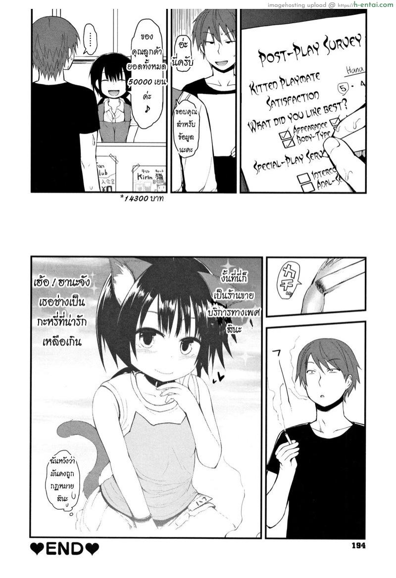 คาเฟ่แมว - แผ่น 18