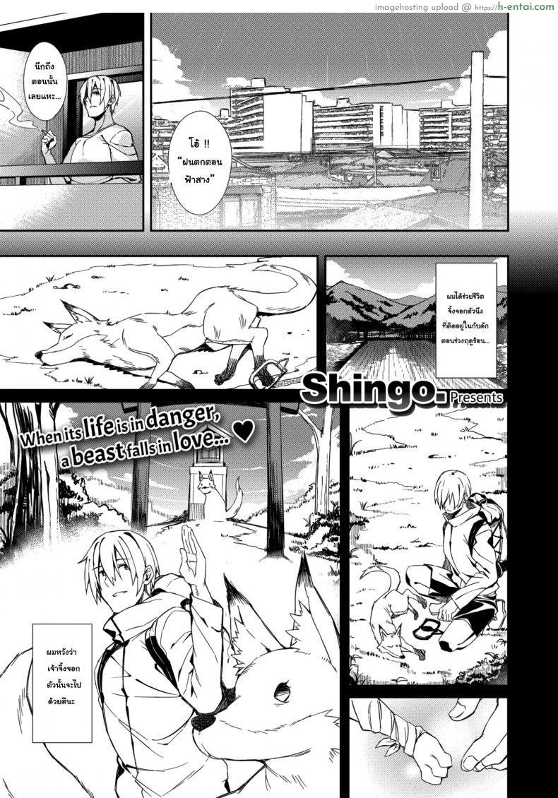 โดจิน จิ้งจอกขอตอบแทน [Shingo] A Fox's Requitail แปลไทย 3