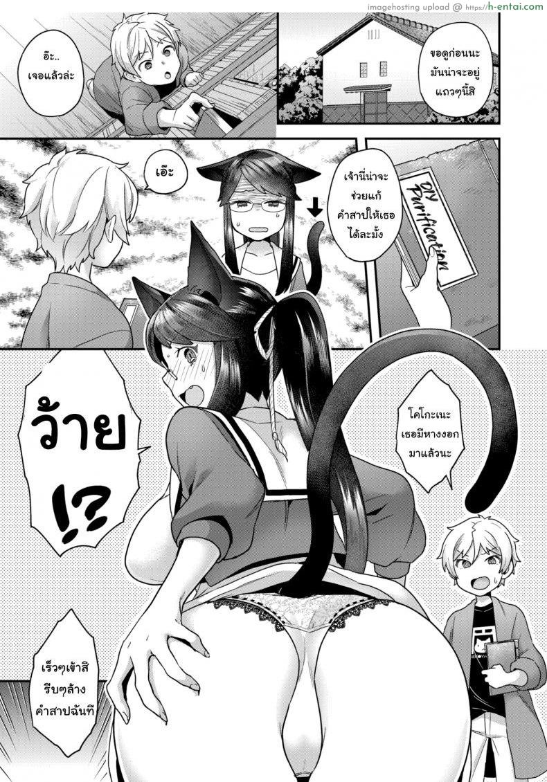 คำสาปเหมียวๆ - แผ่น 7