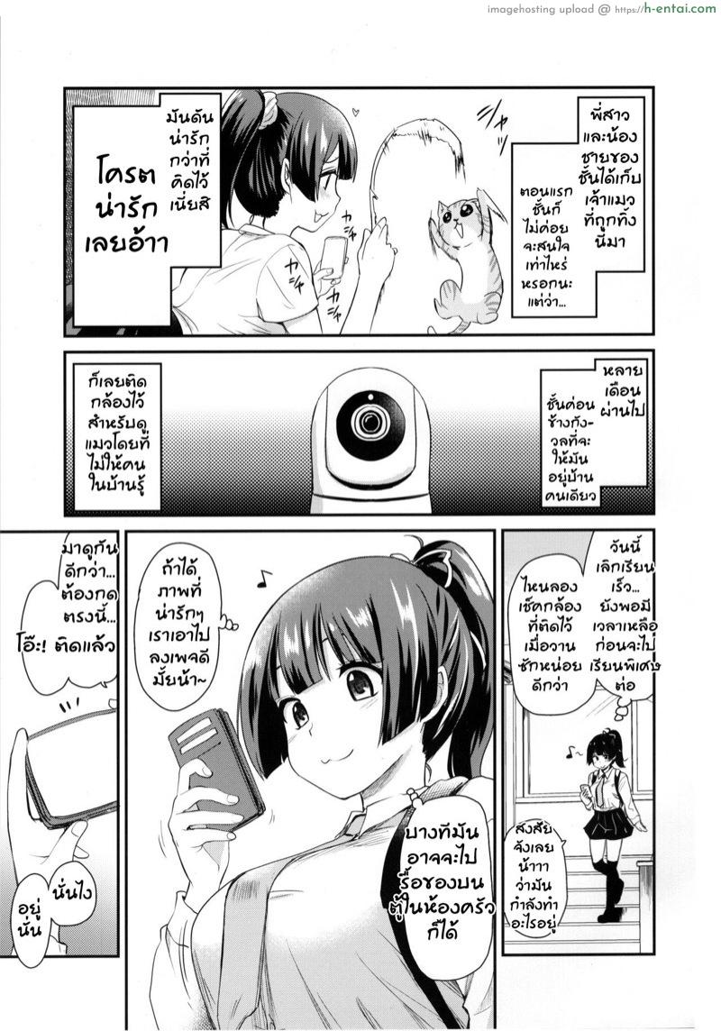 กล้องส่องแมว - แผ่น 3