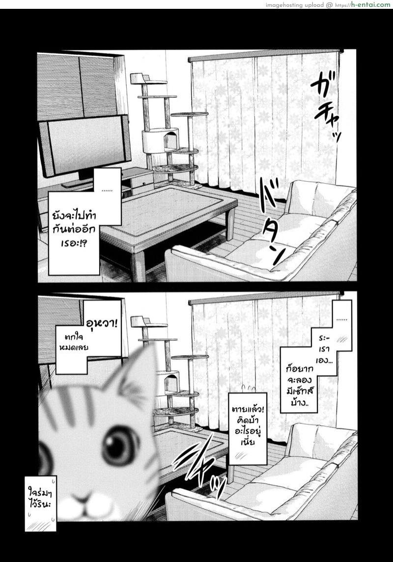 กล้องส่องแมว - แผ่น 29