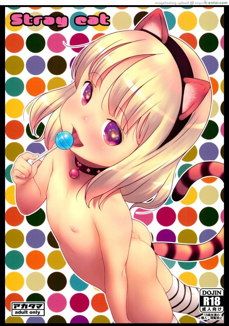 โดจิน ลูกแมวหลงทาง (C96) [Akatama (Sakurafubuki Nel)] Stray cat แปลไทย 2