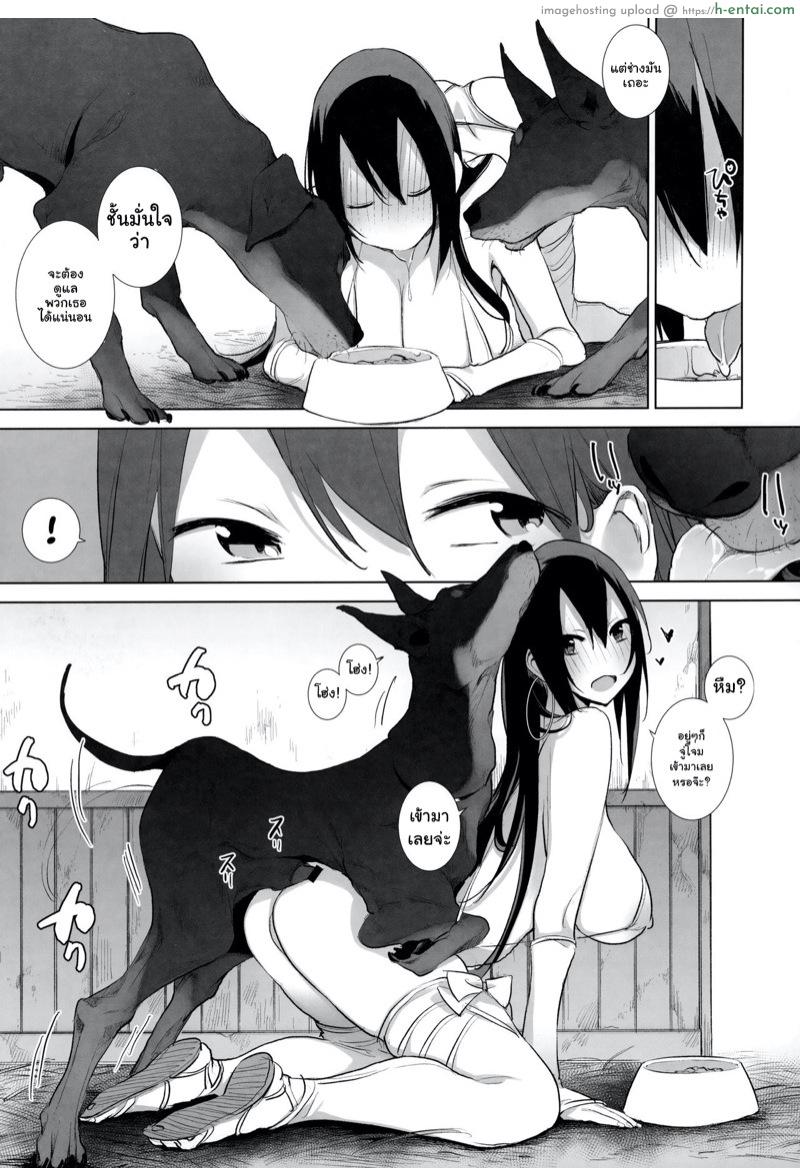 ฤดูผสมพันธ์ - แผ่น 3