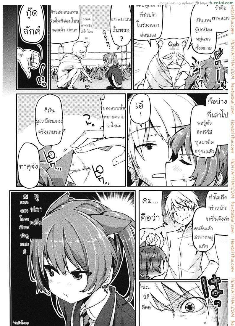 เทพแมวประทานพร - แผ่น 8