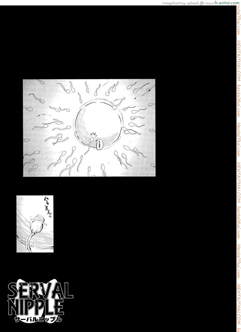 หน้าอกของเซอร์วัลจัง! - แผ่น 27