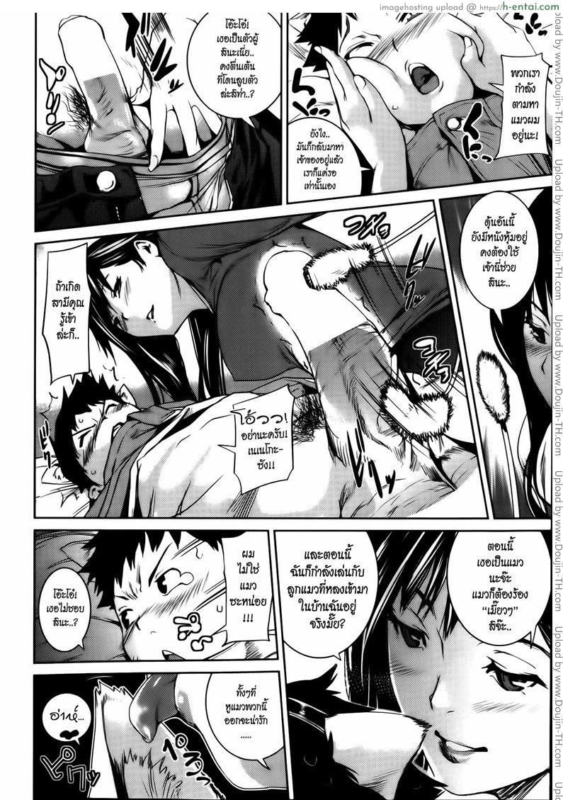 เหตุเกิดจากแมวเหมียว - แผ่น 6