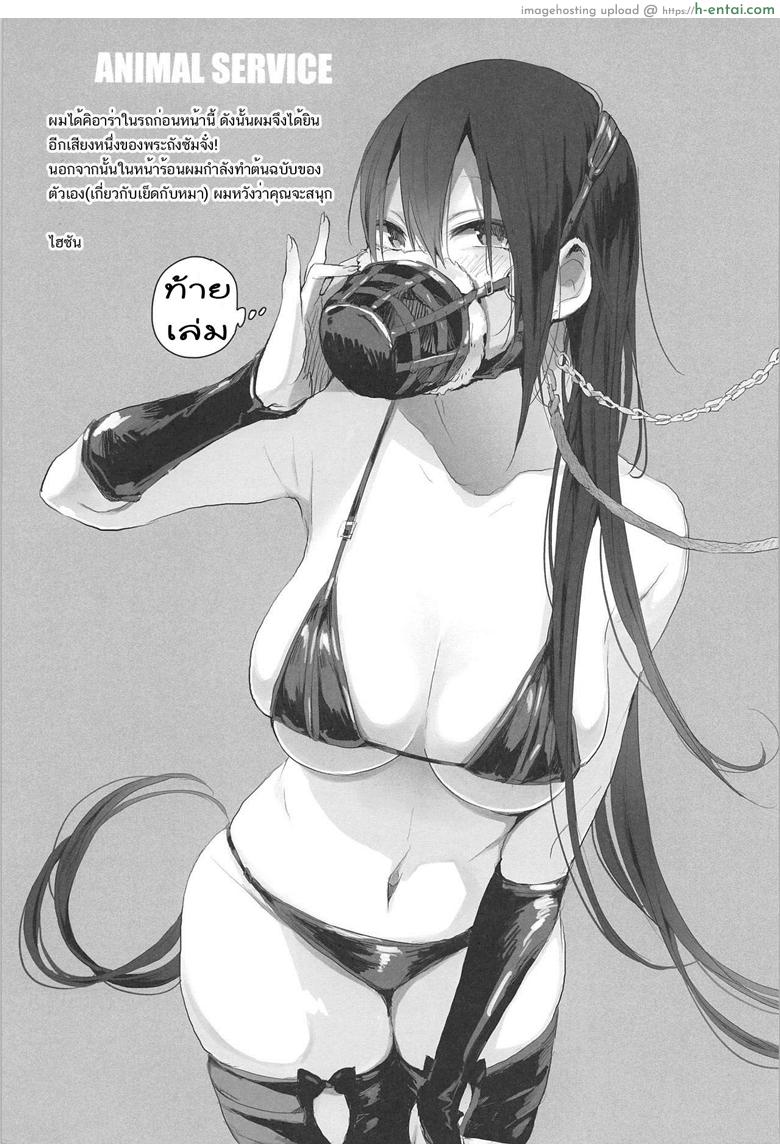 เครื่องเล็ก แรงม้าสูง 2 - แผ่น 21