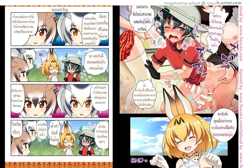 การผสมพันธุ์ - แผ่น 8