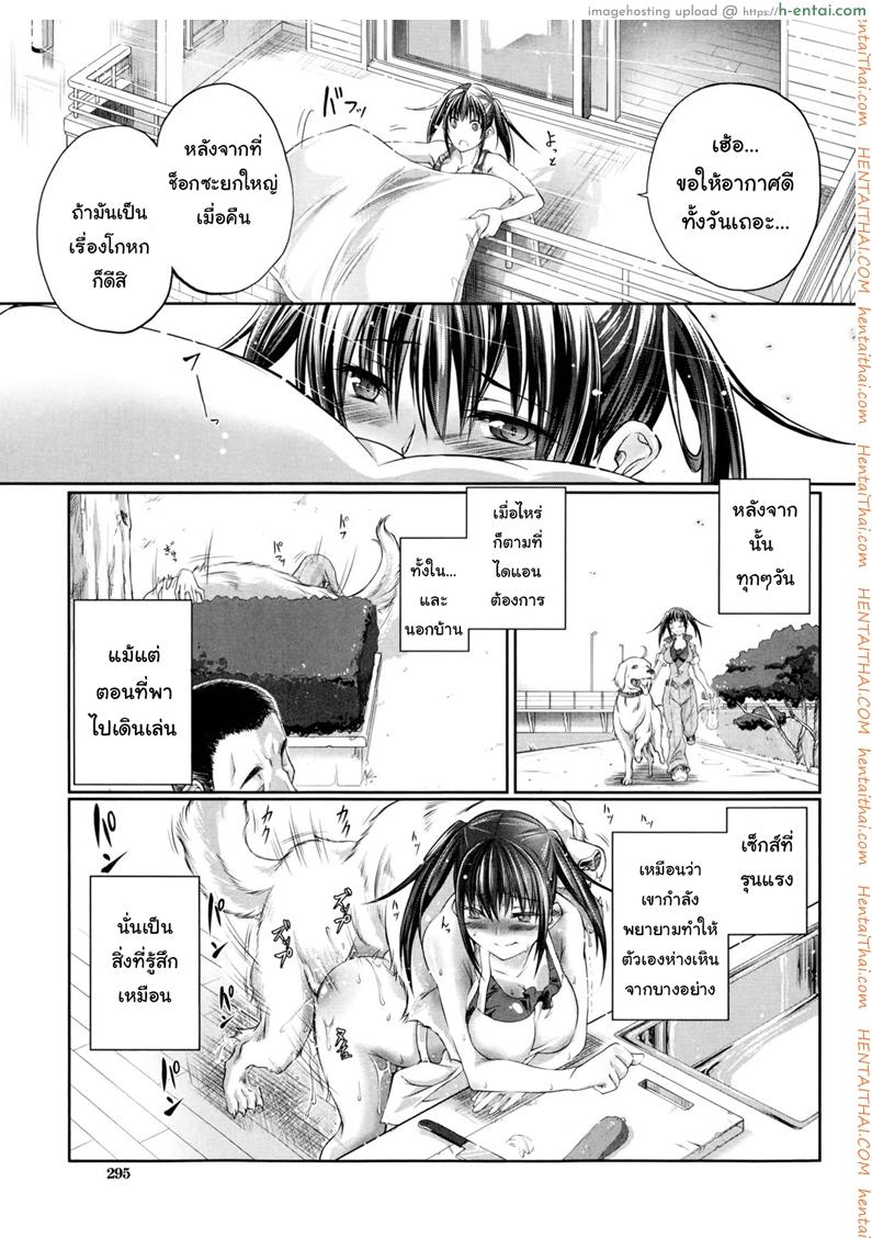 หมาบ้านนี้เอวดีสุดๆ - แผ่น 11