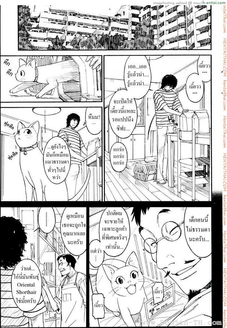 เนเนะ นางแมวสาว 1 - แผ่น 3