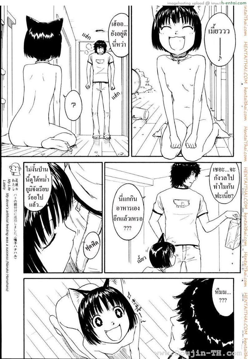 เนเนะ นางแมวสาว 2 - แผ่น 13