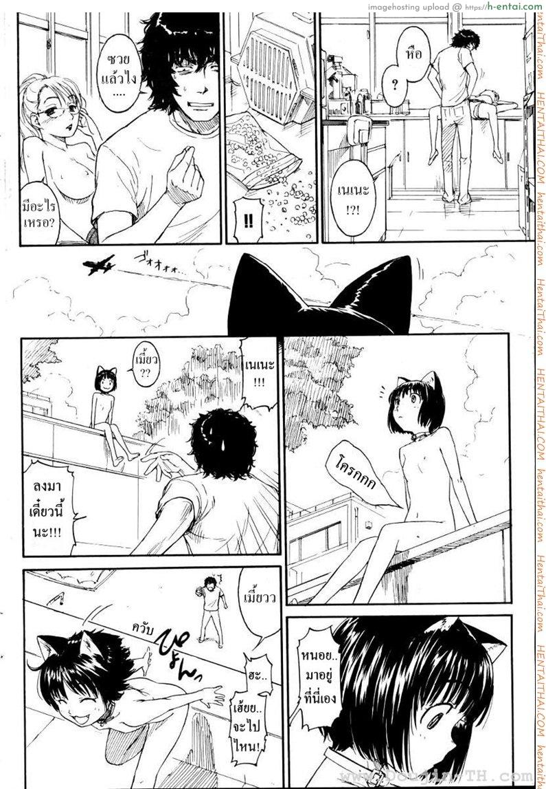 เนเนะ นางแมวสาว 3 - แผ่น 14