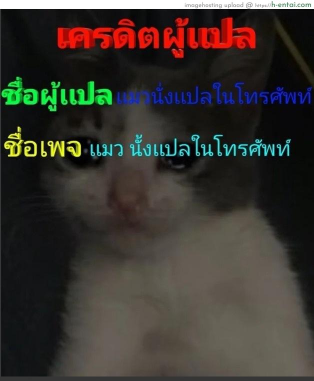 แผนเปลี่ยนชาย กลายเป็นหญิง - แผ่น 9