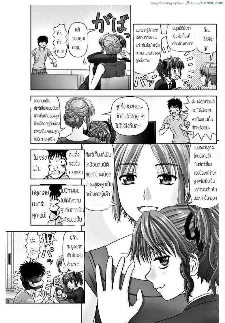 เหมือนจะสุข แต่ทุกข์กว่า - แผ่น 11