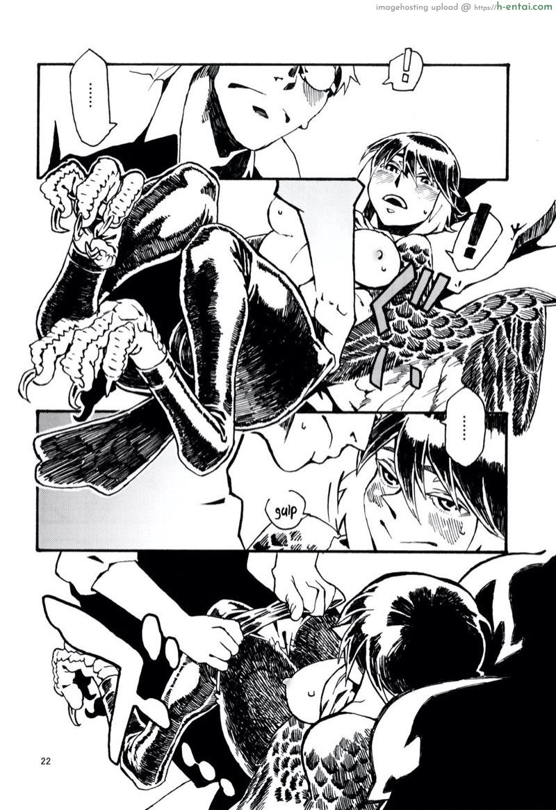 พิราบสื่อรัก - แผ่น 23