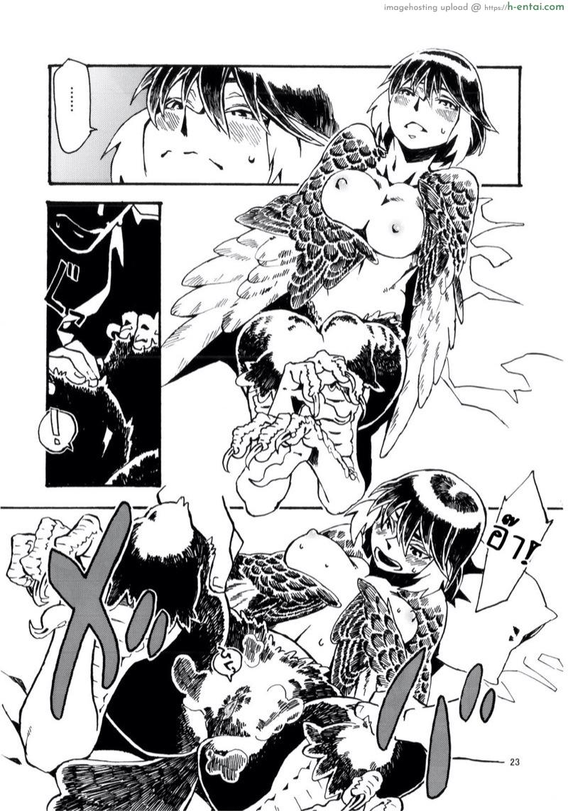 พิราบสื่อรัก - แผ่น 24