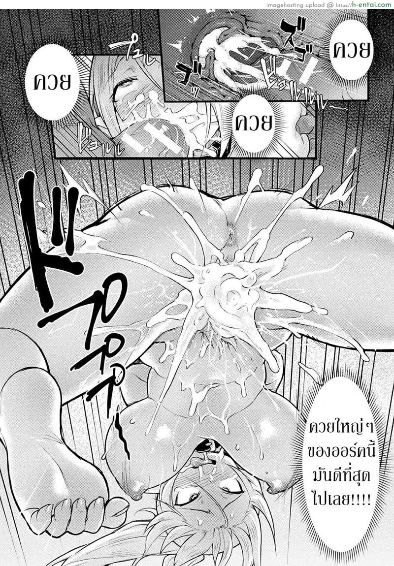 วิธีการใช้งานเอลฟ์ - แผ่น 18