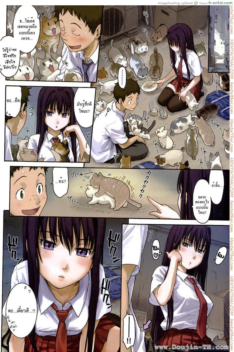 พลอดรักกลางดงแมว - แผ่น 2