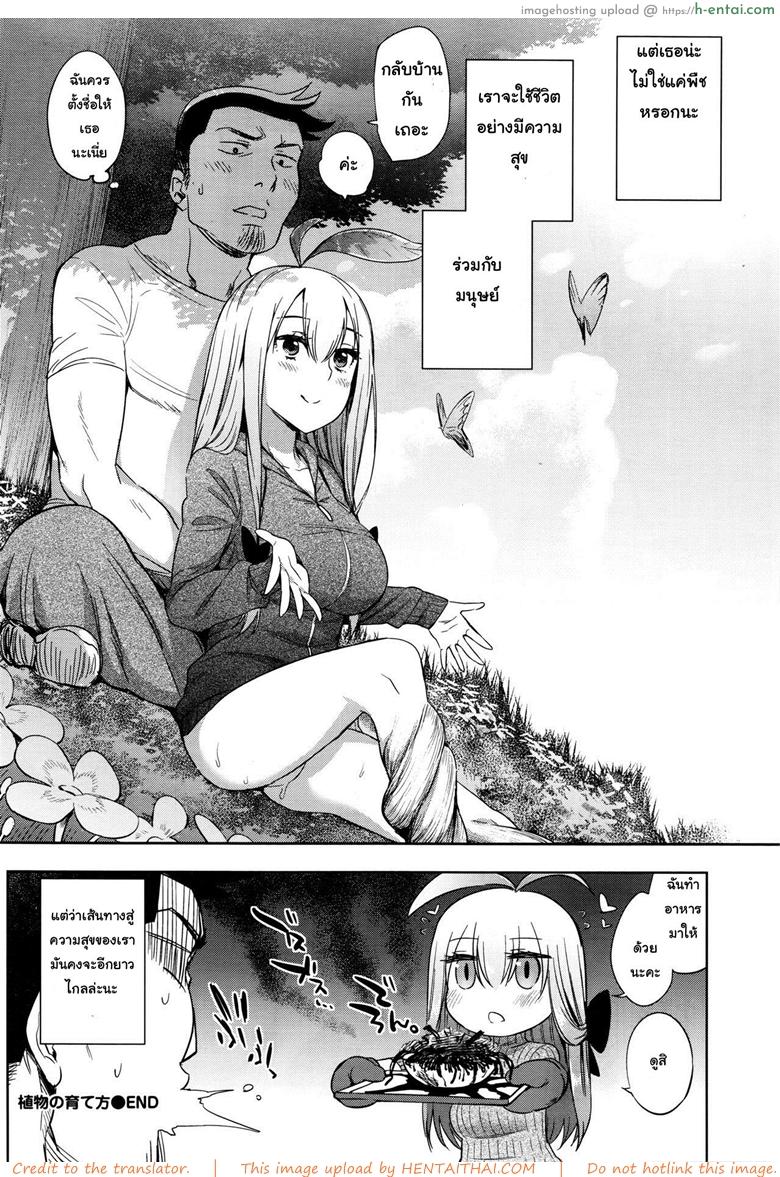 พืชมีชีวิต ผักก็มีหัวใจ - แผ่น 22