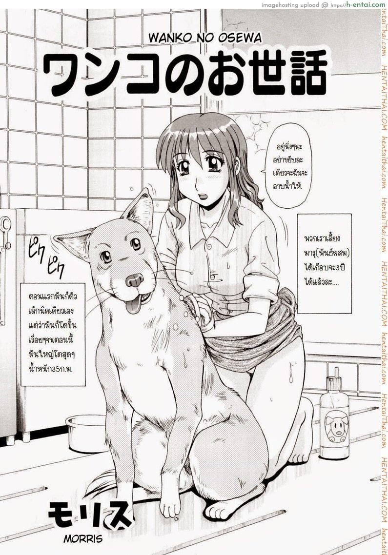 อาบน้ำให้หมาแล้ว - แผ่น 2