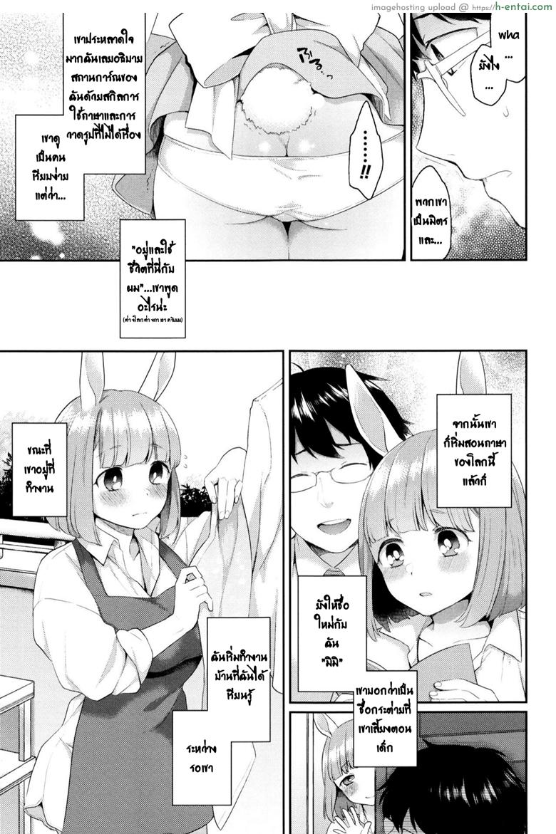 โพรง...กระต่าย - แผ่น 7