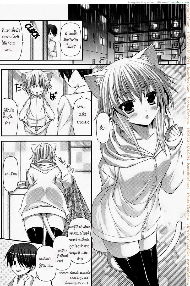 สาวน้อยหูแมว - แผ่น 2