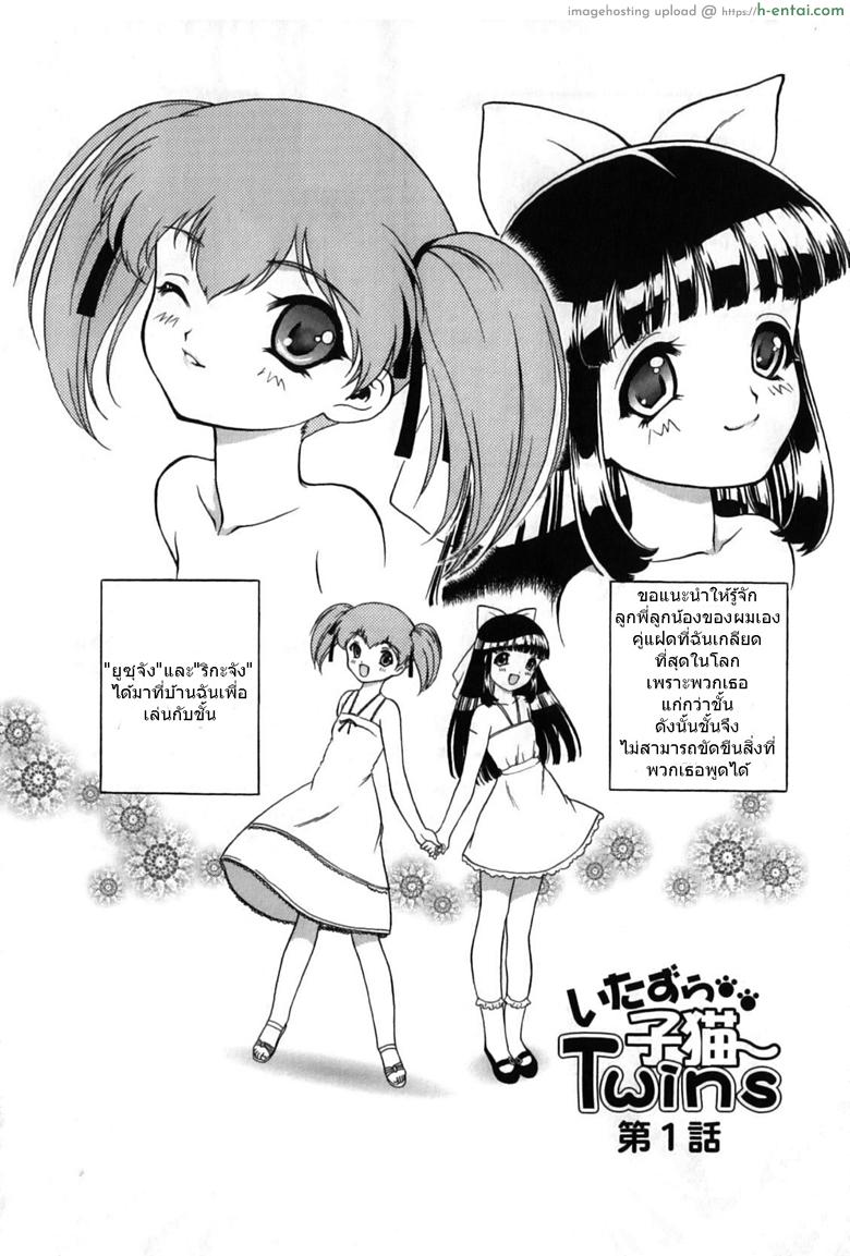 ลูกแมวแฝดที่แสนซุกซน - แผ่น 3