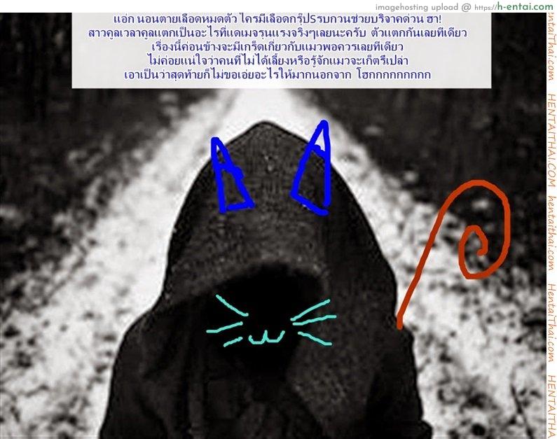 ชั้นน่ารักกว่าแมวใช่ไหม - แผ่น 23