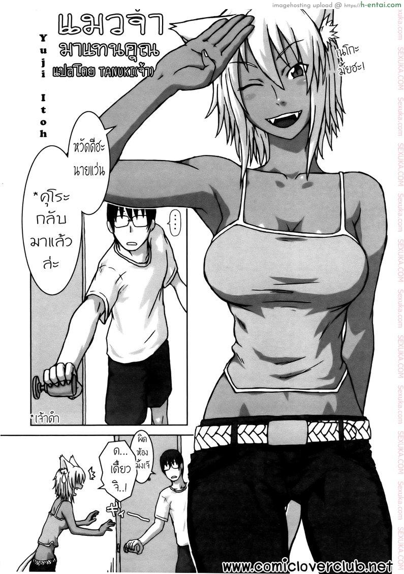 แมวจ๋า มาแทนคุณ - แผ่น 2