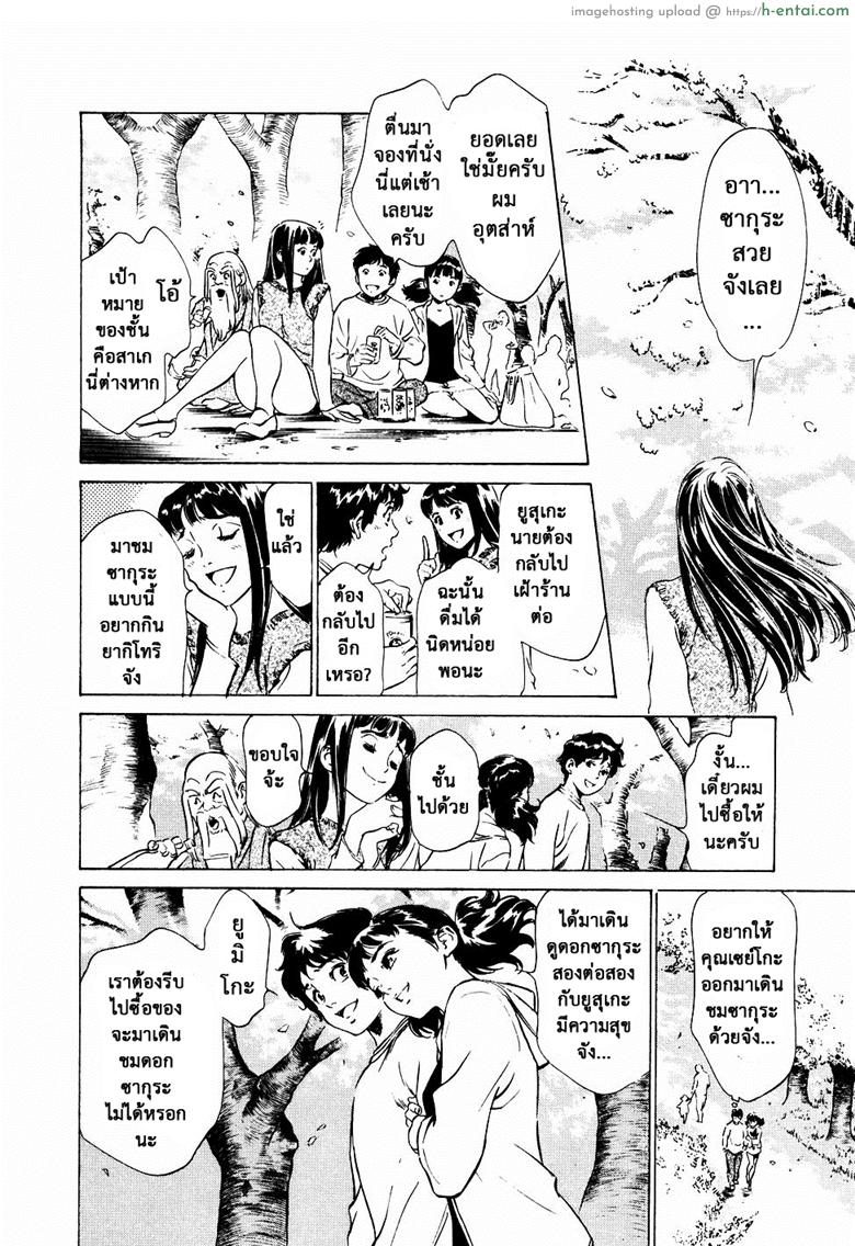 รีวิวของโบราณ 16 - เปลือกหอยหายาก - แผ่น 4