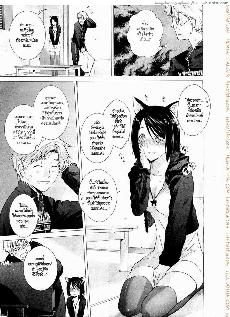 รักเหมียวๆ ขอเกี่ยวหัวใจ - แผ่น 3