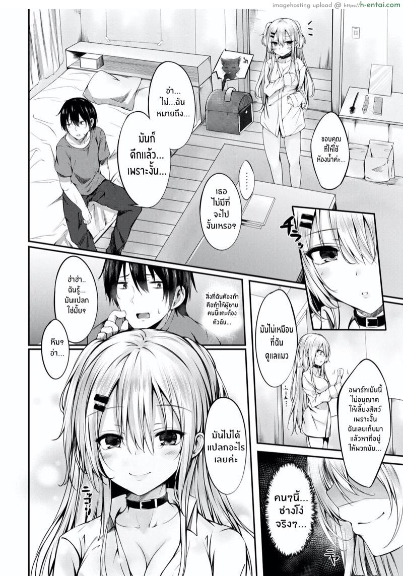 น้องแมวเร่ร่อน - แผ่น 4