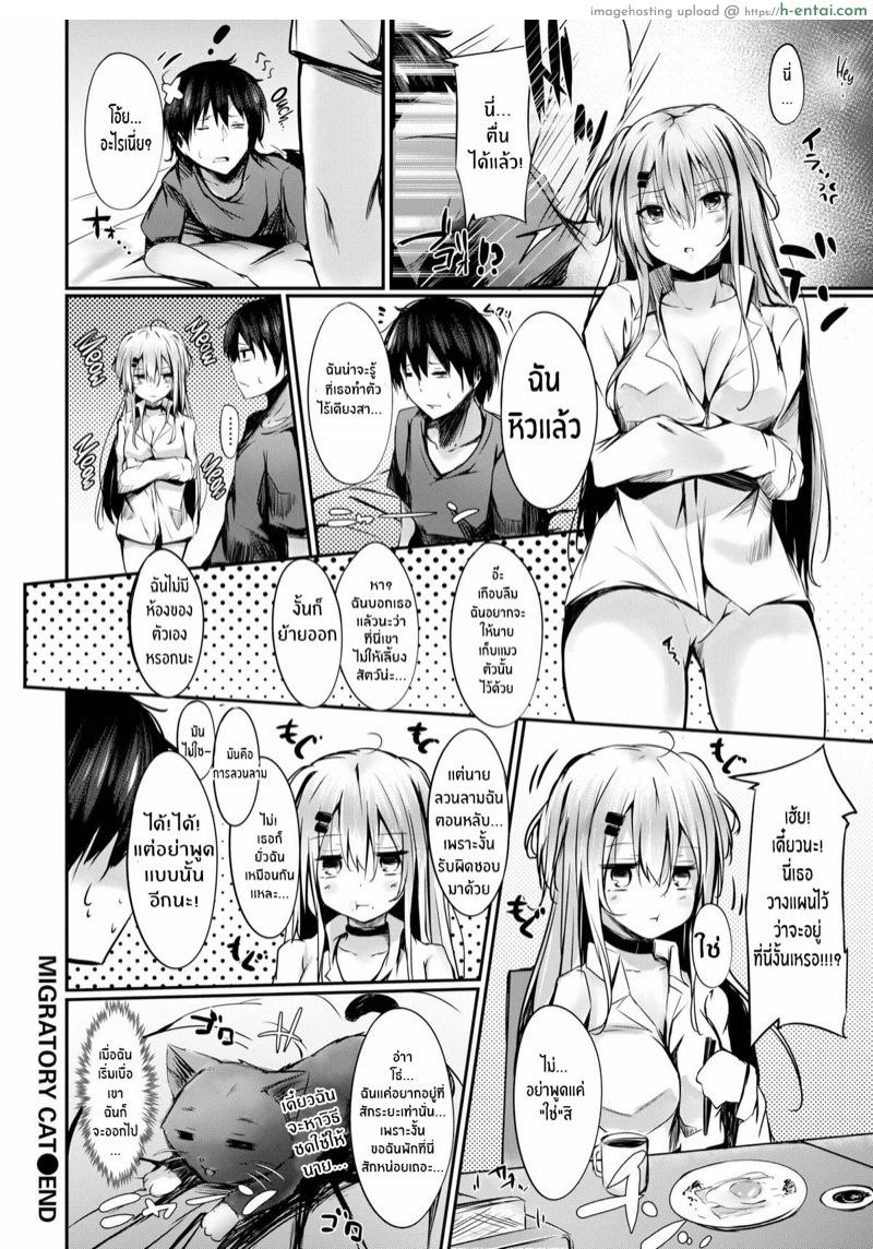 น้องแมวเร่ร่อน - แผ่น 20