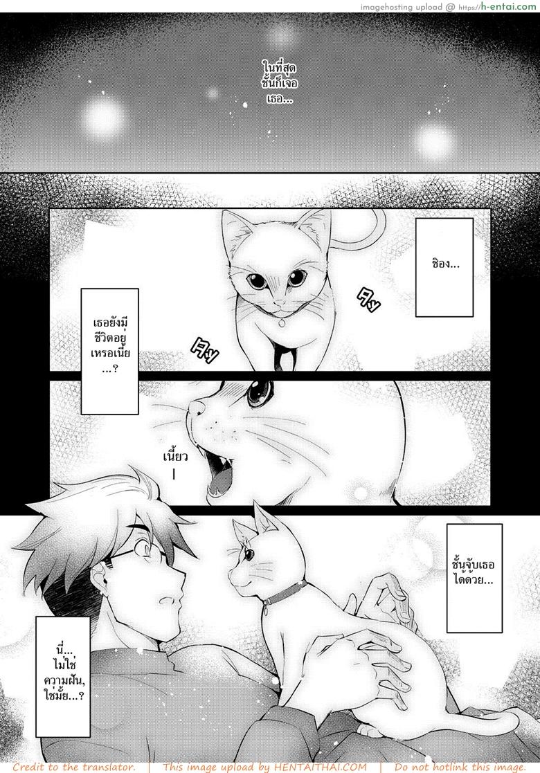 ดอกไม้ของชิอง - แผ่น 10