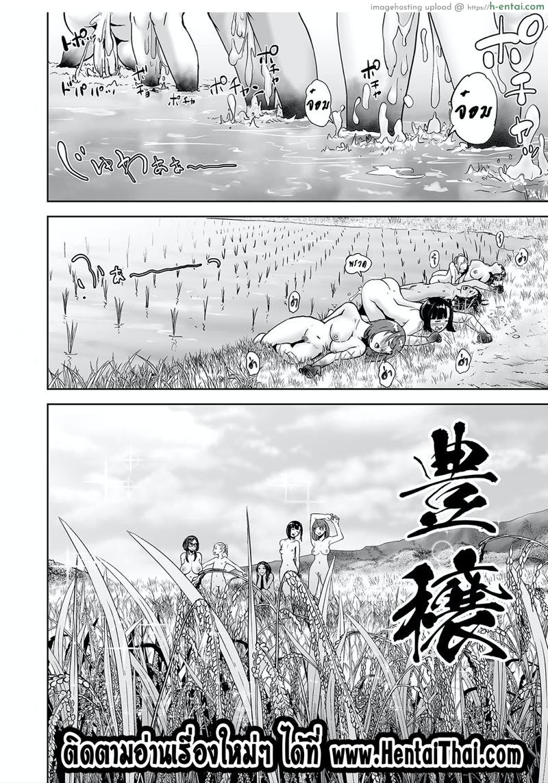 ฤดูเก็บเกี่ยว - แผ่น 24