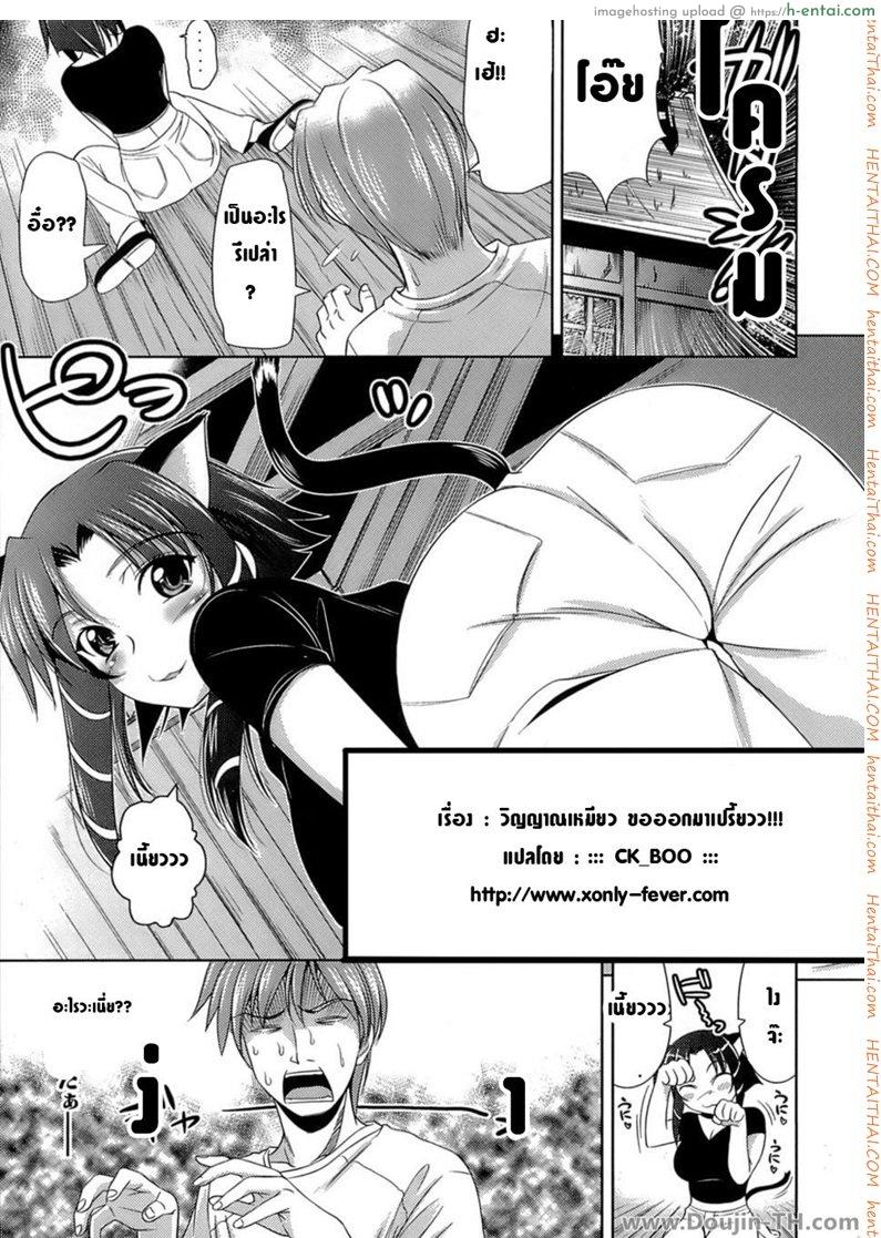 วิญญาณเหมียว ขอออกมาเปรี้ยวว - แผ่น 3