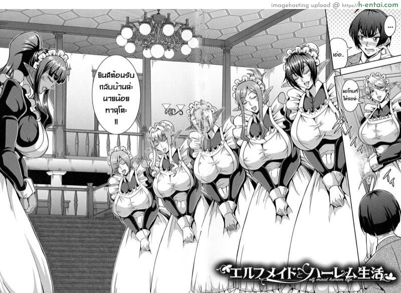เรื่องราวฮาเร็มเอลฟ์ 4 - เมดรับใช้ - แผ่น 2