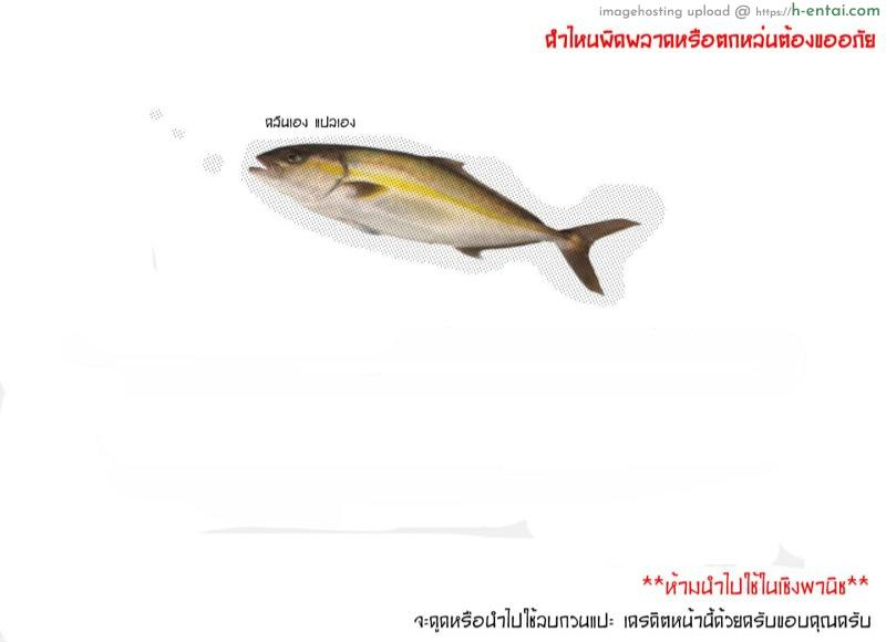 เรื่องราวฮาเร็มเอลฟ์ 4 - เมดรับใช้ - แผ่น 42