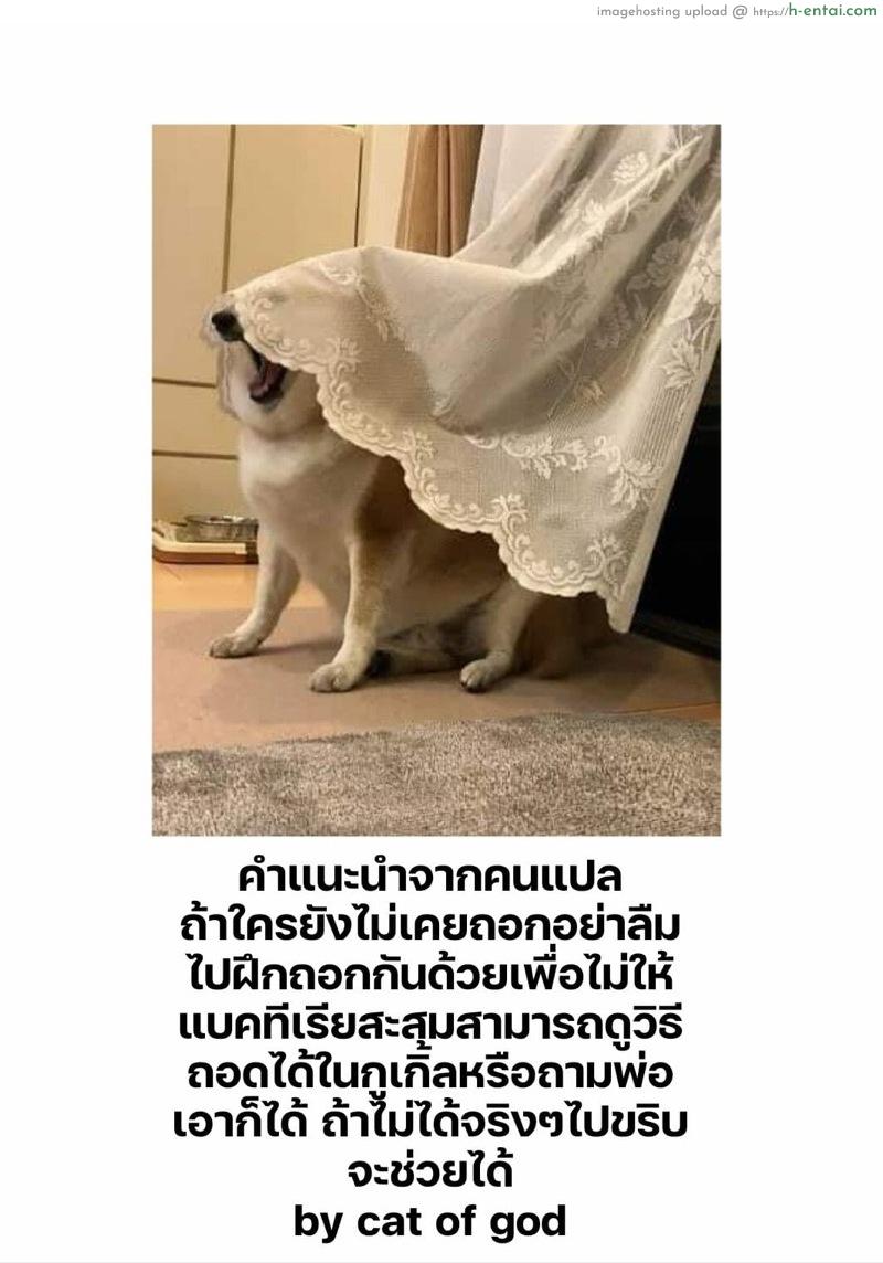 หมู่บ้านมิซุซาว่า 1.2 - แผ่น 29