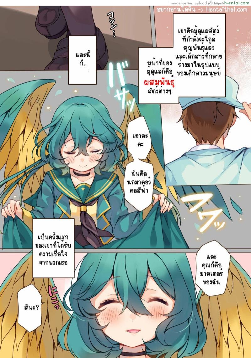 วิธีการอนุรักษ์และผสมพันธุ์นก - แผ่น 3 วิธีการอนุรักษ์และผสมพันธุ์นก - แผ่น 3