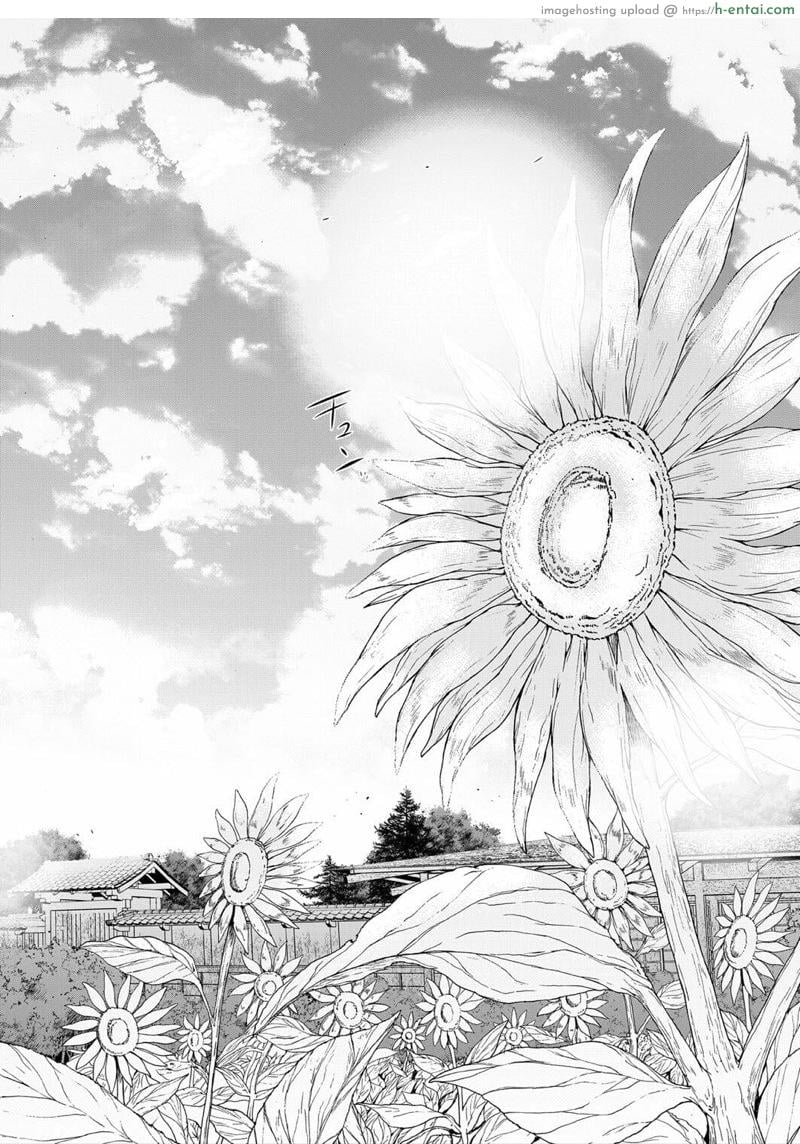 หมู่บ้านมิซุซาว่า 2.2 - แผ่น 16